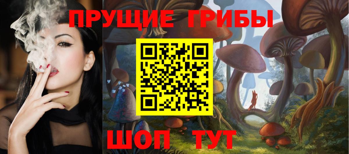 Галлюциногенные грибы Psilocybe  Вход с VPN  Галлюциногенные грибы Psilocybine cubensis  Бердск 